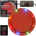 Lite-A-Plants to Illuminate Your Plants (Set of 2)