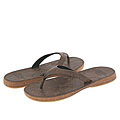 Medium Florist W Brown