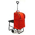 Insulated Red Shopping Cart