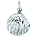 Sterling Silver Scallop Shell Charm