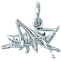 Sterling Silver 'Cricket' Charm