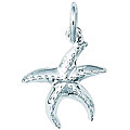 Sterling Silver Star Fish Charm