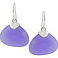 Sterling Silver Purple Crystal Hook Earrings