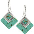 Sterling Silver Turquoise Hook Earrings