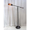 Phoenix Collection Floor Lamp in Antique Iron