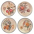 Fruits On The Vine Plate Set