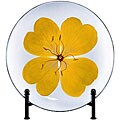 Amber Flower Plate