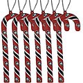Georgia Bulldogs Candy Cane Ornaments (Set of 6)