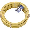 Goodyear 25-foot Air Hose