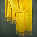 Pashmina Wool and Silk 'Sunlight' Shawl (India)