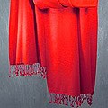 Pashmina 'Attraction' Shawl (India)
