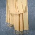 Silk and Wool 'Kashmiri Brown' Shawl (India)