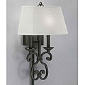 Olde Bronze Finish Pin-up Plug-in Lamp