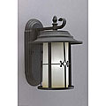 Antique Black Finish 1-light Outdoor Wall Light