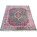Indo Bidjar Green/ Red Rug (8' x 10'3)