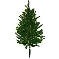 Carolina 3-foot Pre-lit Christmas Tree