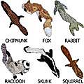 Large Skinneeez Stuffingless Dog Toys (Set of 6)