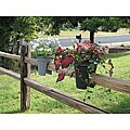 'On the Edge' Planter (Set Of 2)