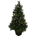 Noble Fir 4-foot Pre-lit Christmas Tree