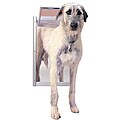 PetSafe Classic X-large White Pet Door