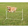 Dog Agility Training Bar Jump 