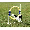 PetSafe Agility Exercise Ring Jump