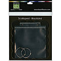 Blackbird Scallop Board Book