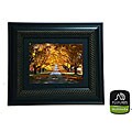 Fuji Labs 12.1-inch Digital Photo/ Movie Frame with 2GB Memory Card
