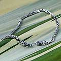 Sterling Silver 'Dragon Protection' Chain Choker (Thailand)