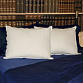 Antimicrobial Outlast 500 Thread Count Pillow