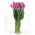 Pink Tulips with Vase
