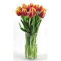 Orange Tulips with Vase