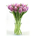 Purple Tulips with Free Vase