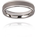 Titanium Two-tone Raised Center Ring