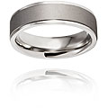 Titanium Two-tone Raised Center Ring