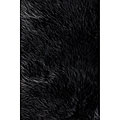 Sheep Skin Jungle Black Rug (5' x 7'6)