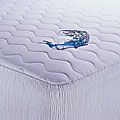 Beautyrest Total Protection Mattress Pad