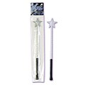 Twinkle Silver Star