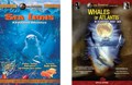 Ocean Animals DVD Set