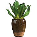 Succulent Silk Plant with Ceramic Vase 