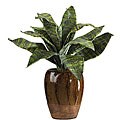 Tiger Leaf Silk Plant with Ceramic Vase