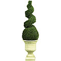 5-foot Cedar Spiral Silk Tree with Vase