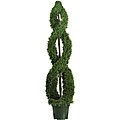 Double Cedar Spiral 5-foot Silk Tree