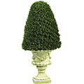 Cedar Cone Topiary Tree with Vase