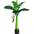 Miniature 3-foot Silk Banana Tree