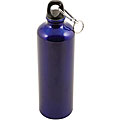 Worthy Blue Aluminum Sport Bottle