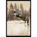 Upstream Images Whitetail Static Wall Graphic