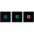 'Bonsai Tree' Framed Canvas 3-piece Art Set