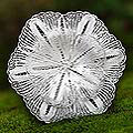 Sterling Silver 'Exotic Bloom' Brooch (Indonesia)