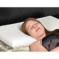 Plush 'Elite Feel' Memory Foam Standard-size Pillows (Set of 2)